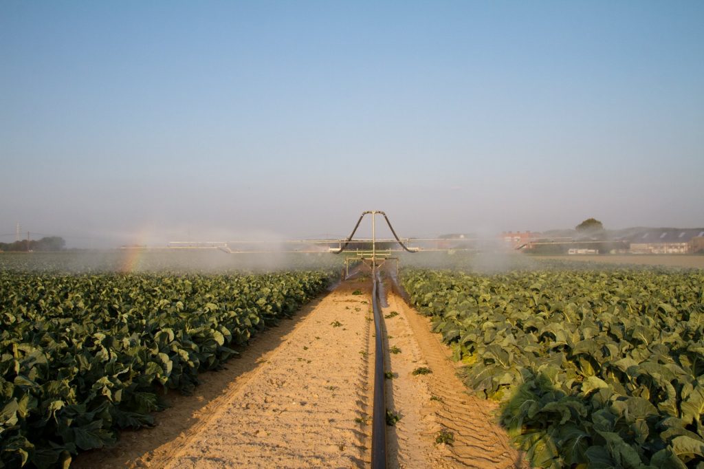 Reuse Of Treated Wastewater For Irrigation